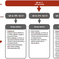 Schemat analizy alergenów jadu pszczoły miodnej. Wykrycie przeciwciał przeciwko Api m1 może świadczyć o uczuleniu, a nie reakcji krzyżowej po ugryzieniu pszczoły.