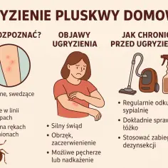 Ilustracja pokazuje, jak rozpoznać pluskwa ugryzienie: czerwone, swędzące ślady na skórze, często ułożone w linii. Podano też objawy i sposoby ochrony.