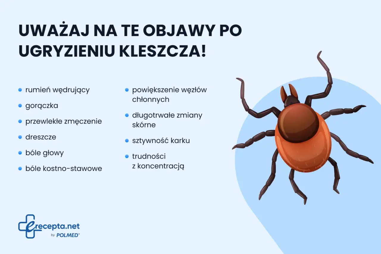 Uważaj na objawy po ugryzieniu kleszcza: rumień, gorączkę, bóle głowy, sztywność karku. To może być odczyn alergiczny po kleszczu.
