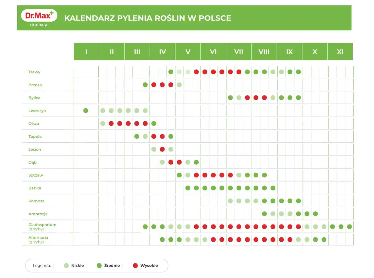 W lipcu pylą trawy, bylica, olsza, topola, jesion, dąb, babka, komosa, ambrozja, a także grzyby Cladosporium i Alternaria.