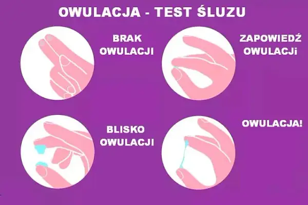 Jak wygląda śluz podczas owulacji? Poznaj kluczowe oznaki płodności